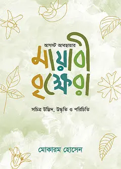 Cover of আগস্ট আবছায়ার মায়াবী বৃক্ষেরা