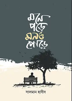 Cover of মনে পড়ে মনও পোড়ে