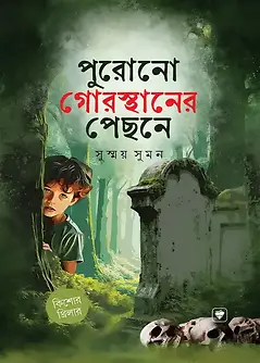 Cover of পুরোনো গোরস্থানের পেছনে